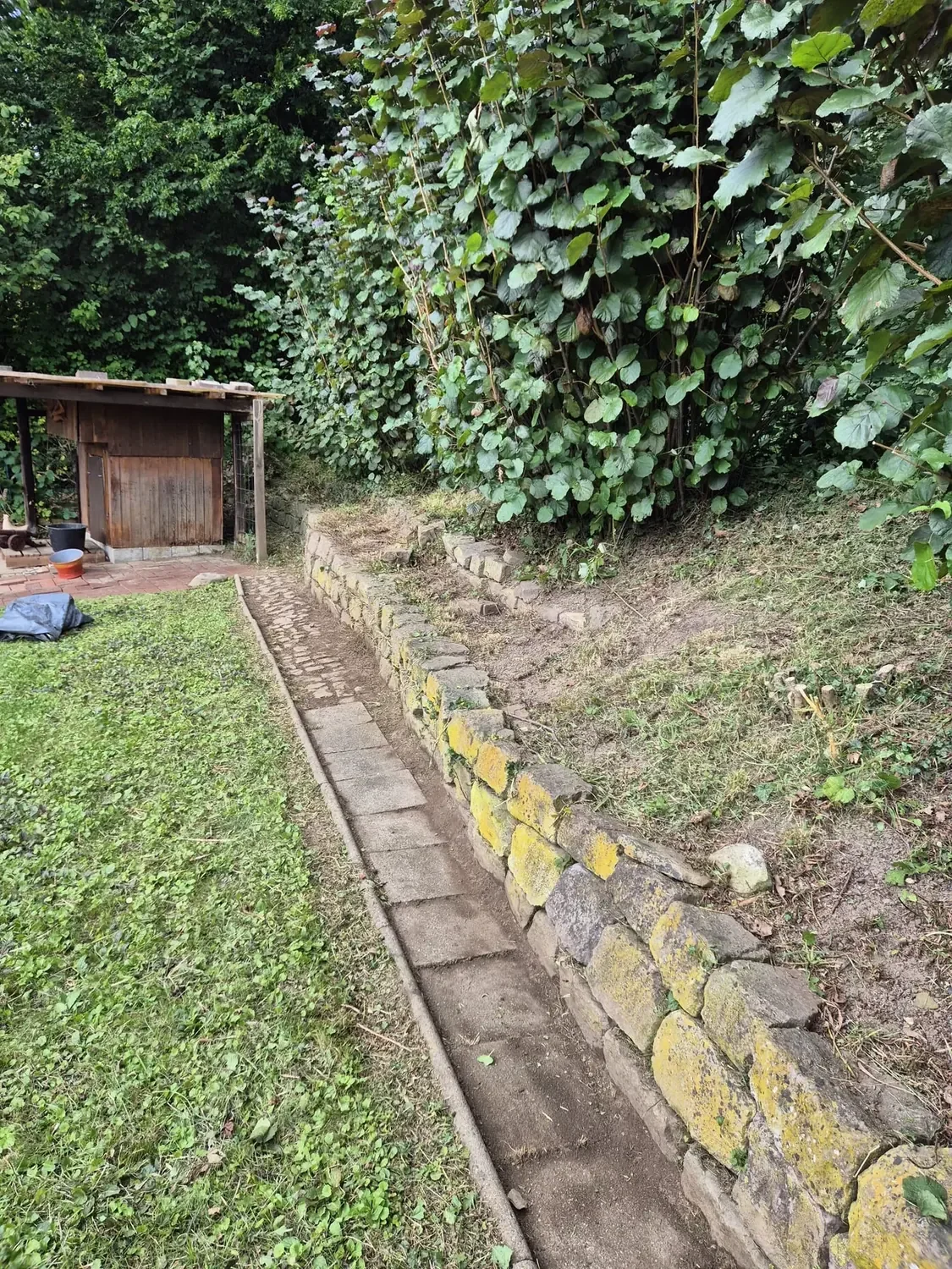 Gartenpflege – Bild 2
