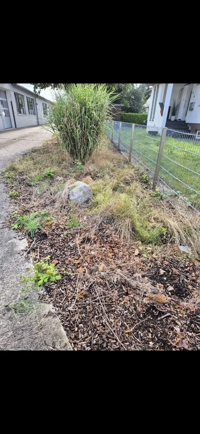 Gartenpflege – Bild 4