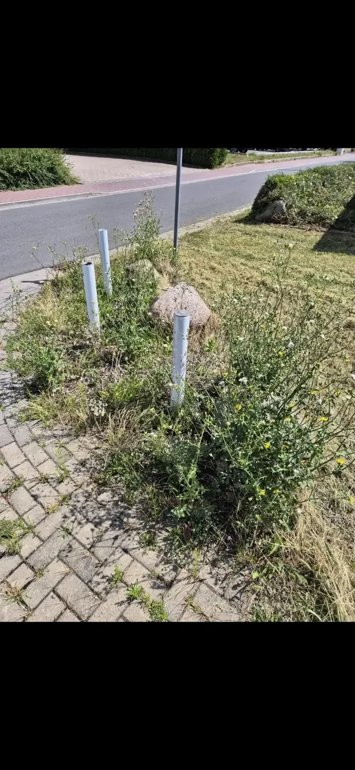 Gartenpflege – Bild 5