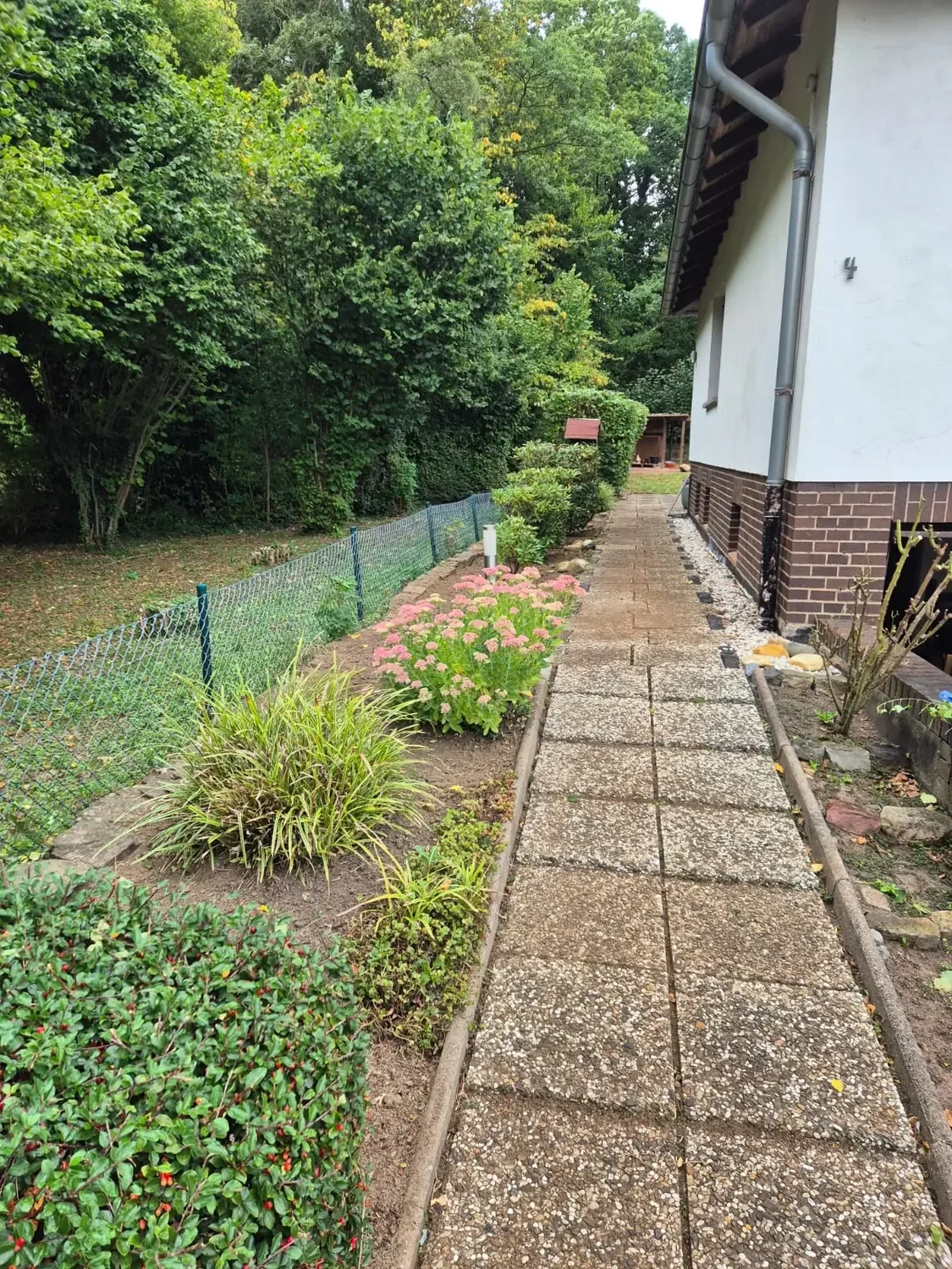 Gartenpflege – Bild 6