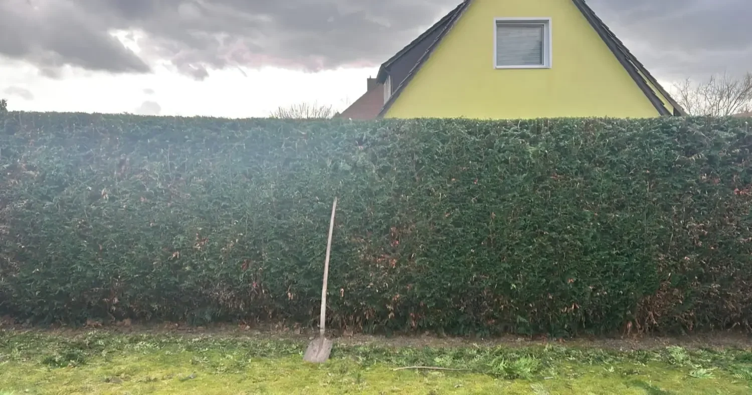 Heckenschnitt – Bild 6