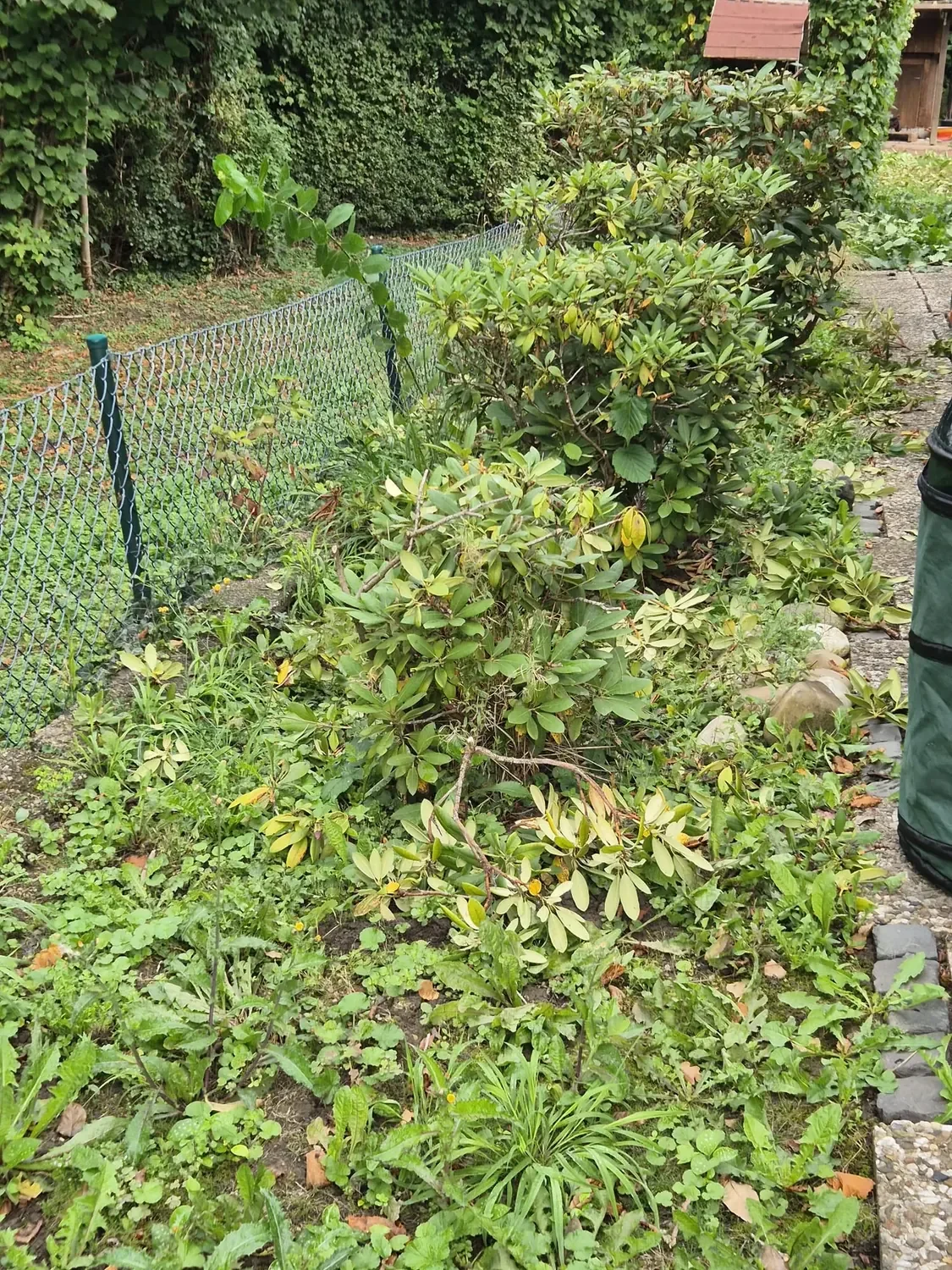 Gartenpflege – Bild 8