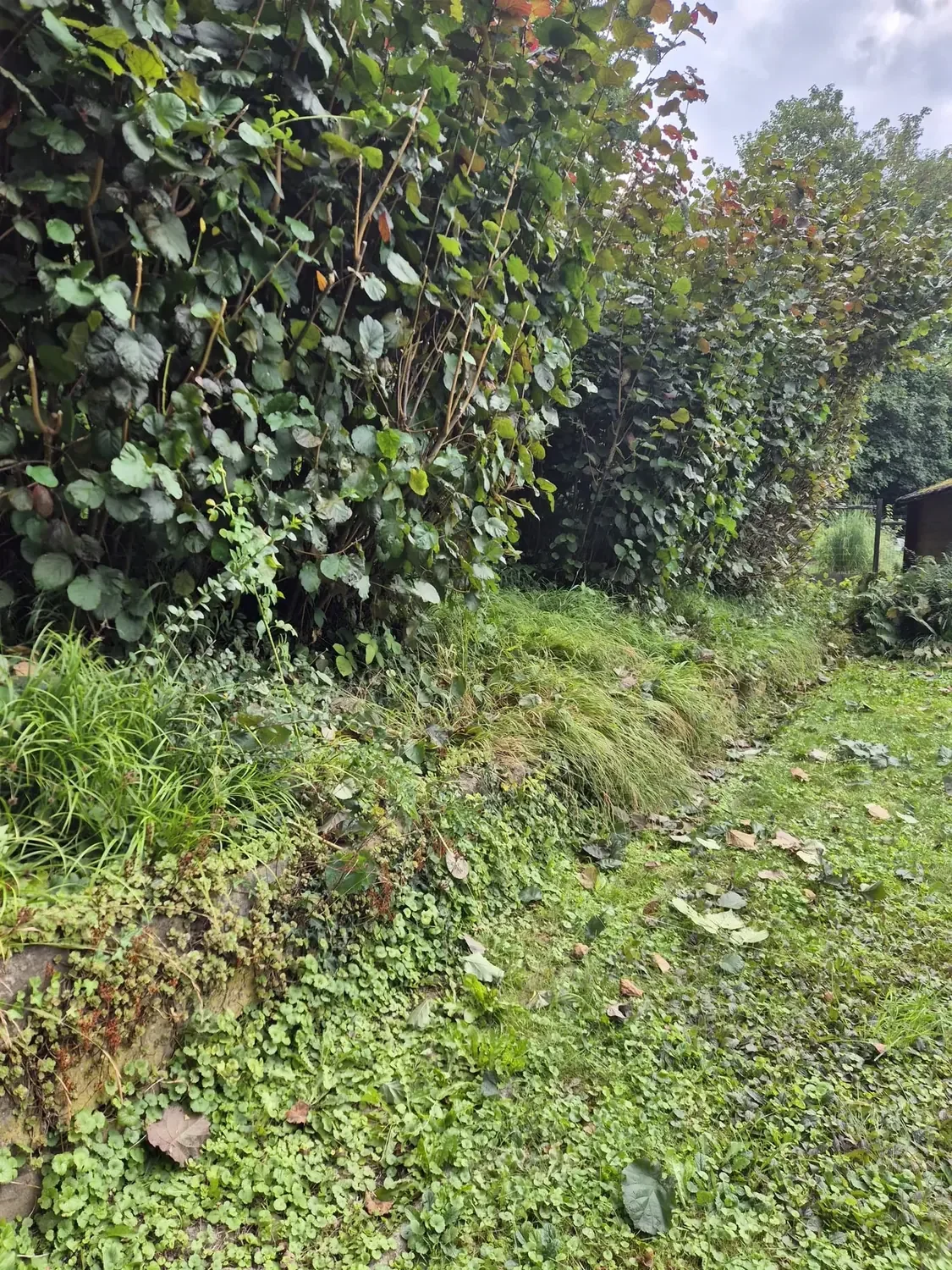 Gartenpflege – Bild 11