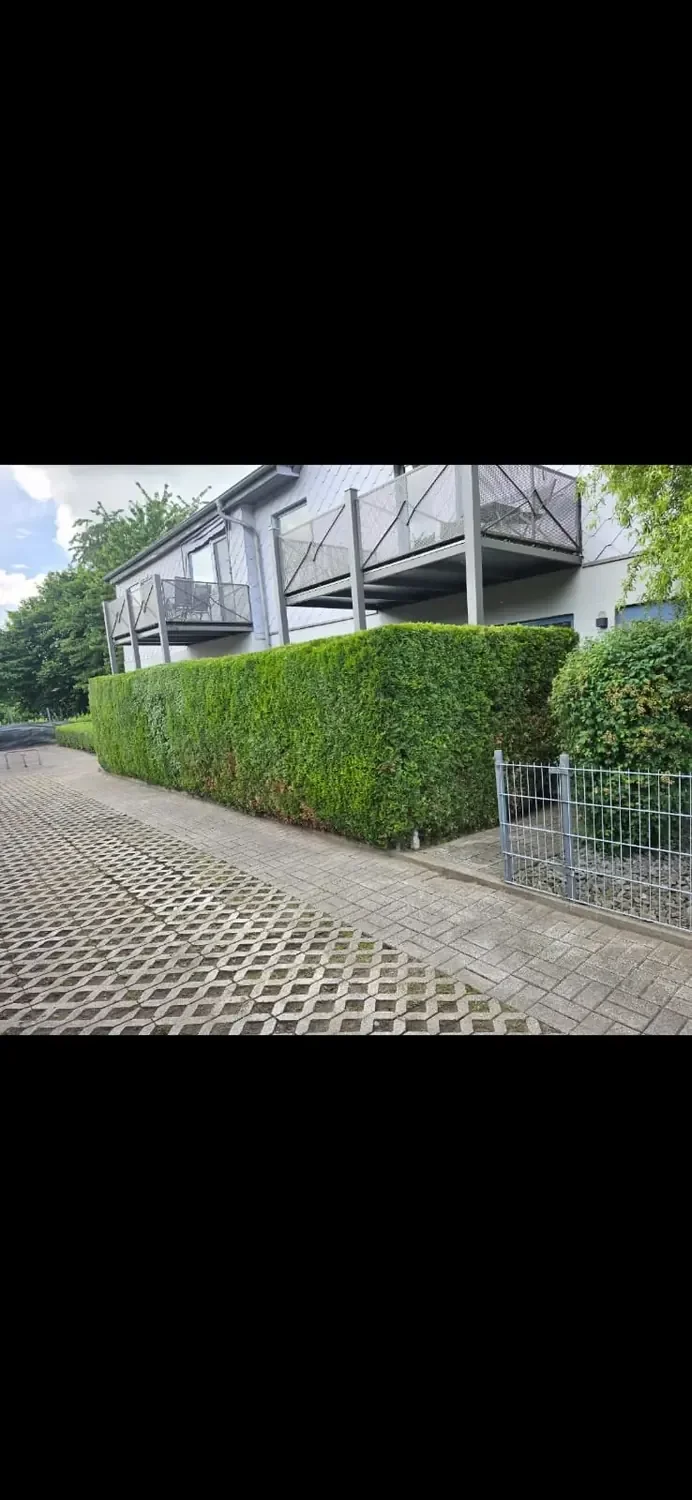 Gartenpflege – Bild 13