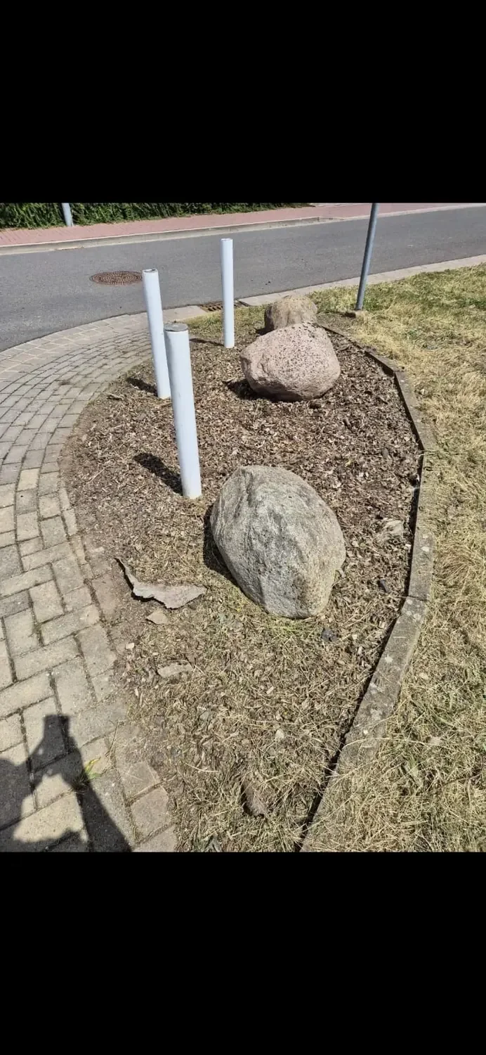 Gartenpflege – Bild 14