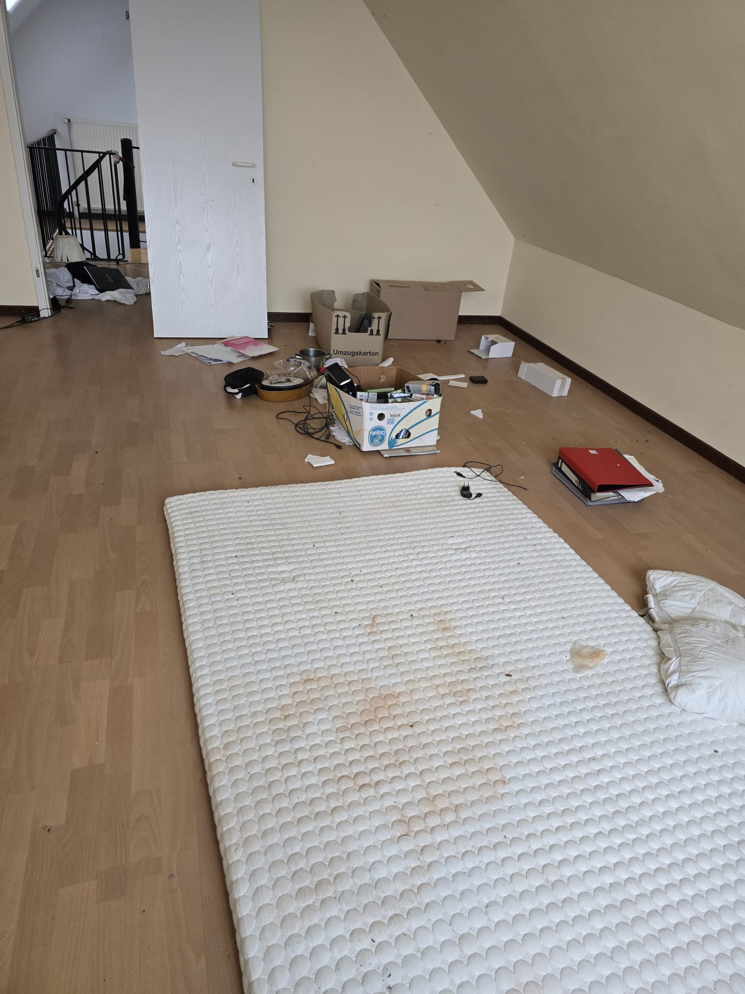 Entrümpelung – Bild 9