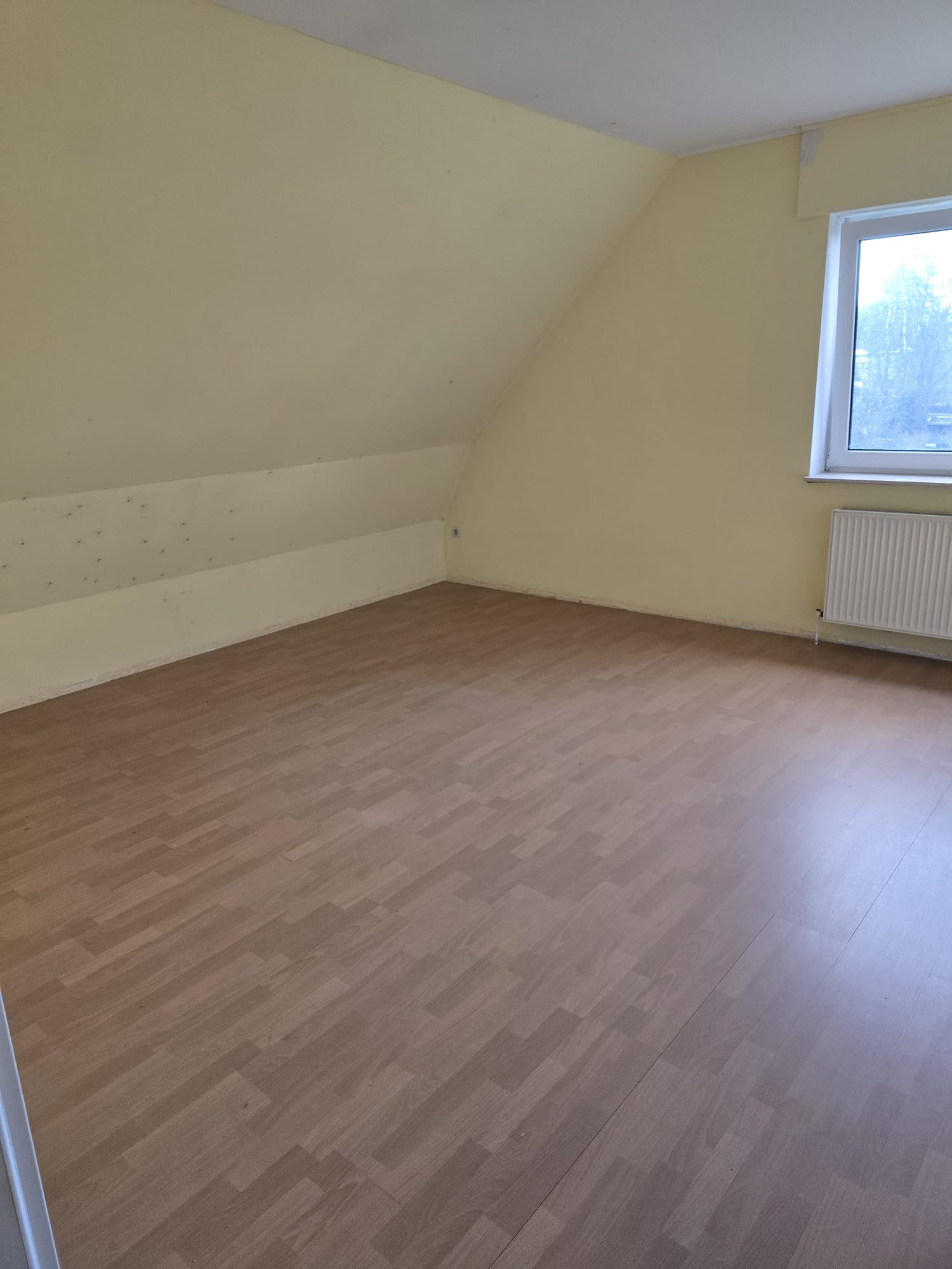 Entrümpelung – Bild 2