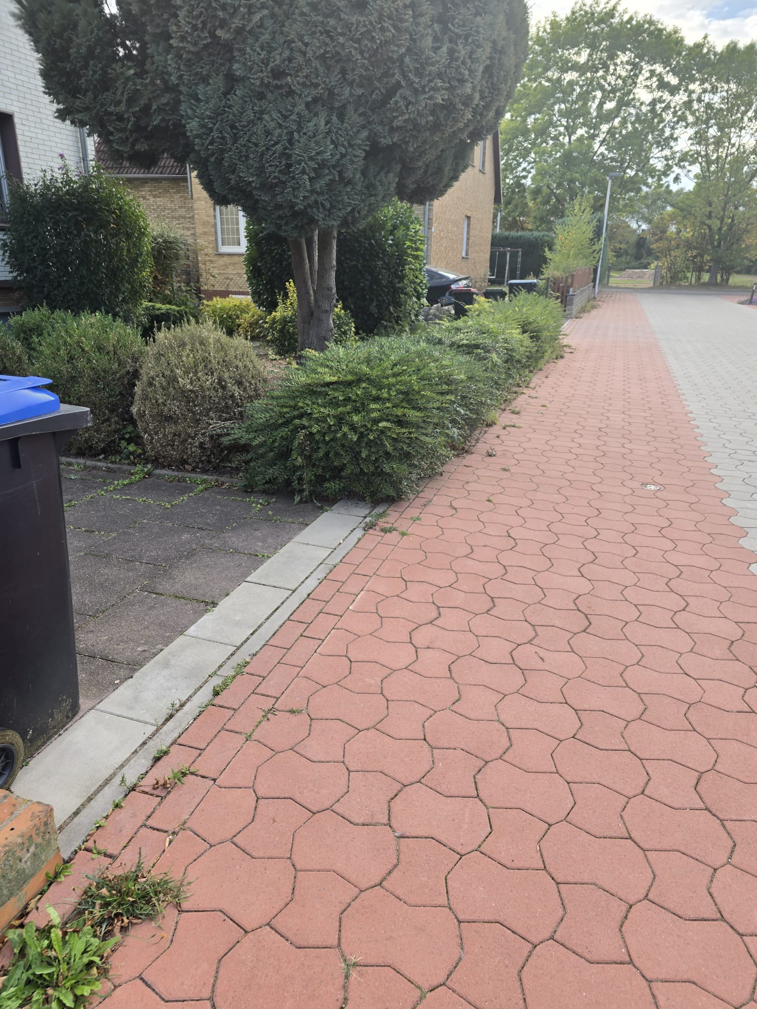 Gartenpflege – Bild 17